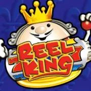 tragamoneds-reel-king